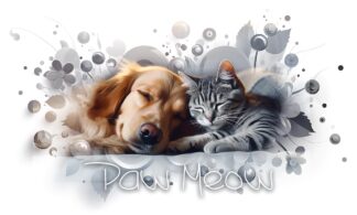 Paw Meow Cat and Dog Sleeping Artwork